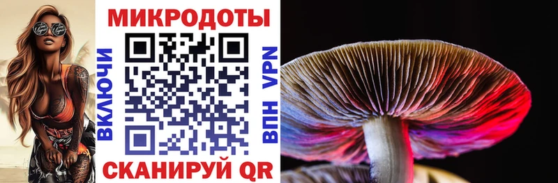 Купить закладки  Вязники  Галлюциногенные грибы Magic Shrooms 